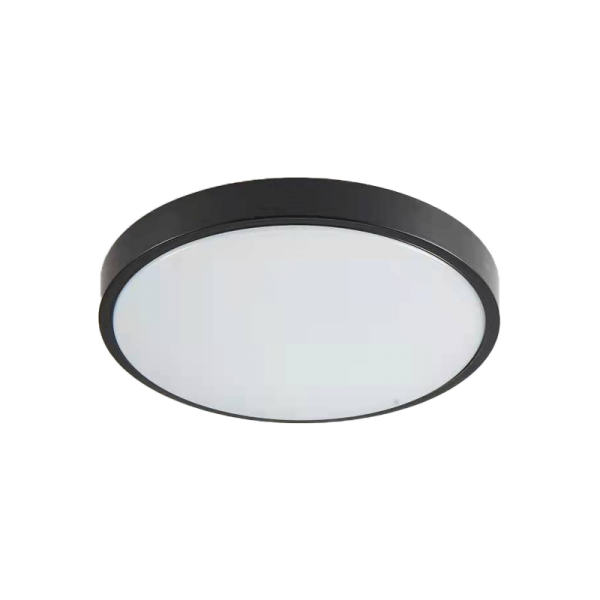 it-Lighting Torch LED 18W 3CCT Outdoor Ceiling Light Anthracite D:28cmx5,3cm (80300340)